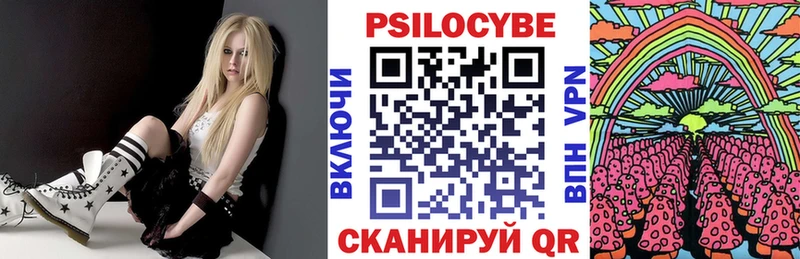 цена   Сенгилей  KRAKEN ССЫЛКА  Псилоцибиновые грибы Psilocybe 